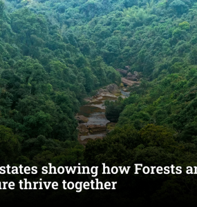 5 Indian states showing how Forests and agriculture thrive together