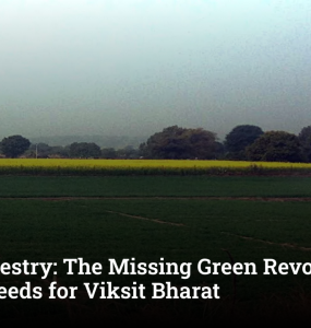 Agroforestry: The Missing Green Revolution India Needs for Viksit Bharat