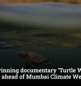 Award-winning documentary ‘Turtle Walker’ screened ahead of Mumbai Climate Week 2026