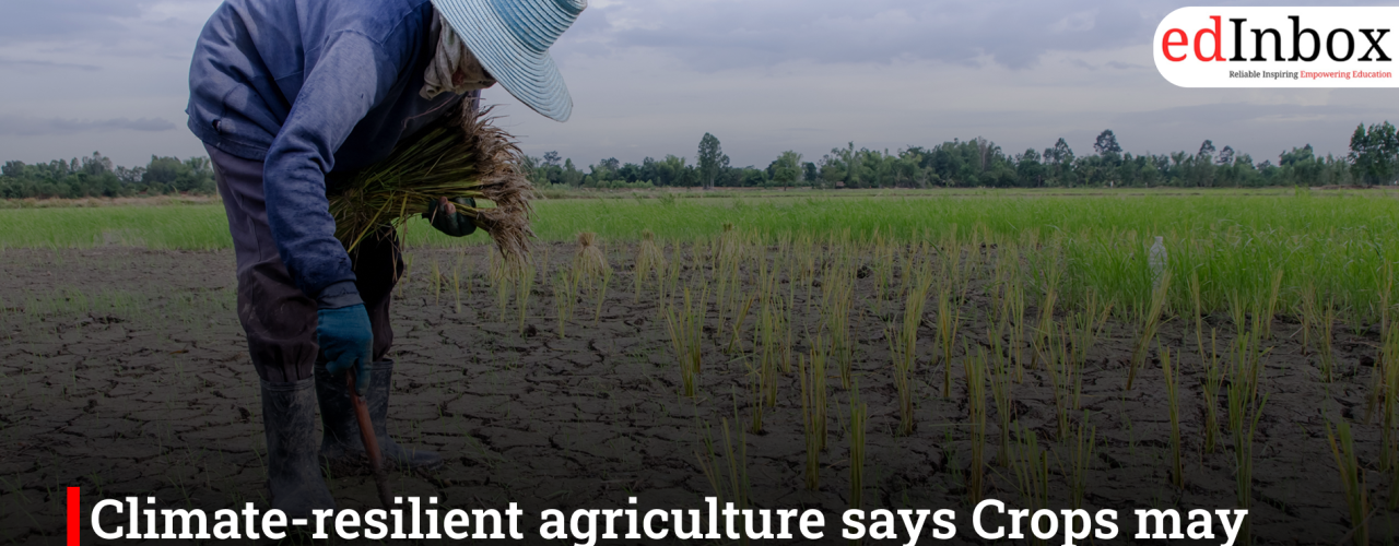 Climate-resilient agriculture says Crops may fail, solar will not