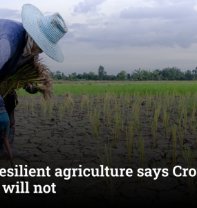 Climate-resilient agriculture says Crops may fail, solar will not