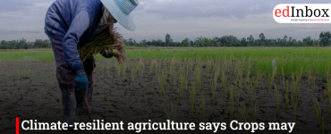 Climate-resilient agriculture says Crops may fail, solar will not