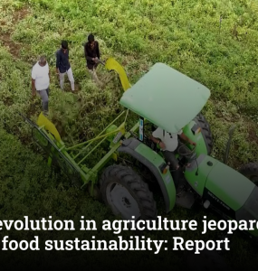 Digital revolution in agriculture jeopardising farmers, food sustainability: Report