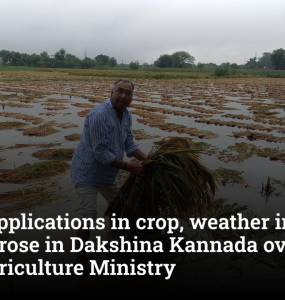 Farmer applications in crop, weather insurance schemes rose in Dakshina Kannada over five years: Agriculture Ministry
