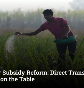 Fertiliser Subsidy Reform: Direct Transfers to Farmers on the Table