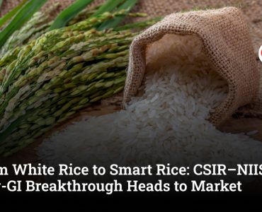 From White Rice to Smart Rice: CSIR–NIIST’s Low-GI Breakthrough Heads to Market