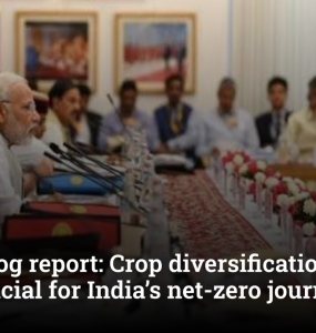 NITI Aayog report: Crop diversification and diet shifts crucial for India’s net-zero journey