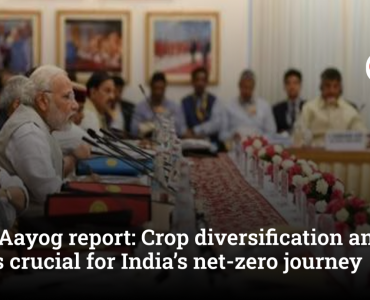NITI Aayog report: Crop diversification and diet shifts crucial for India’s net-zero journey