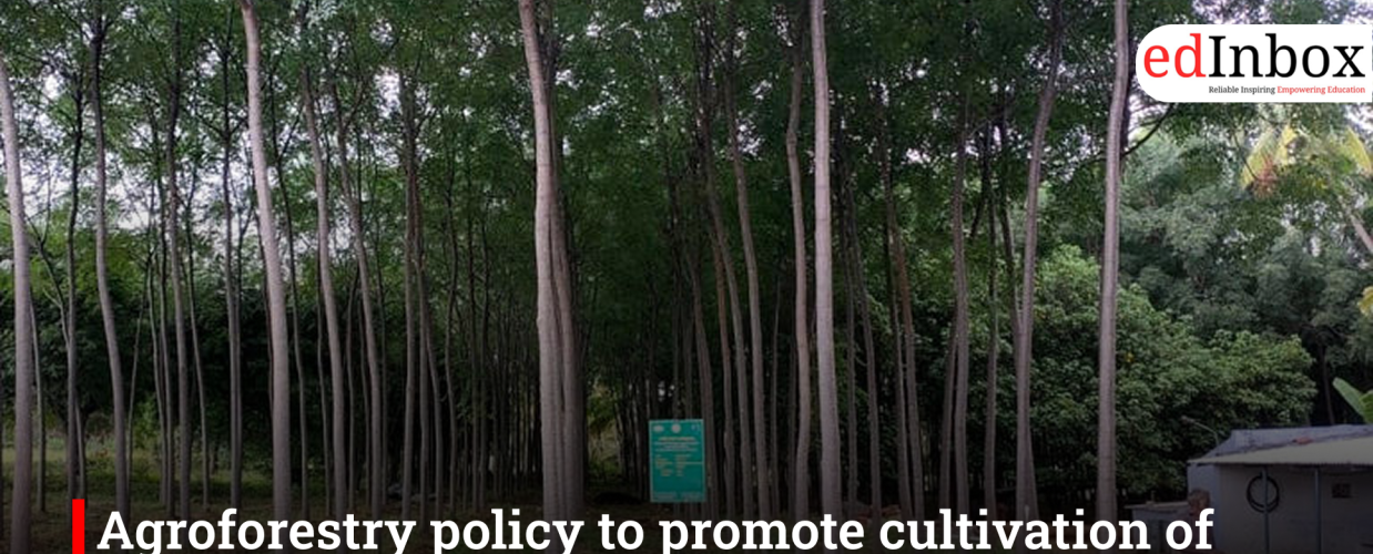 Agroforestry policy to promote cultivation of high-value trees in TN