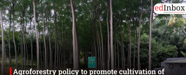 Agroforestry policy to promote cultivation of high-value trees in TN