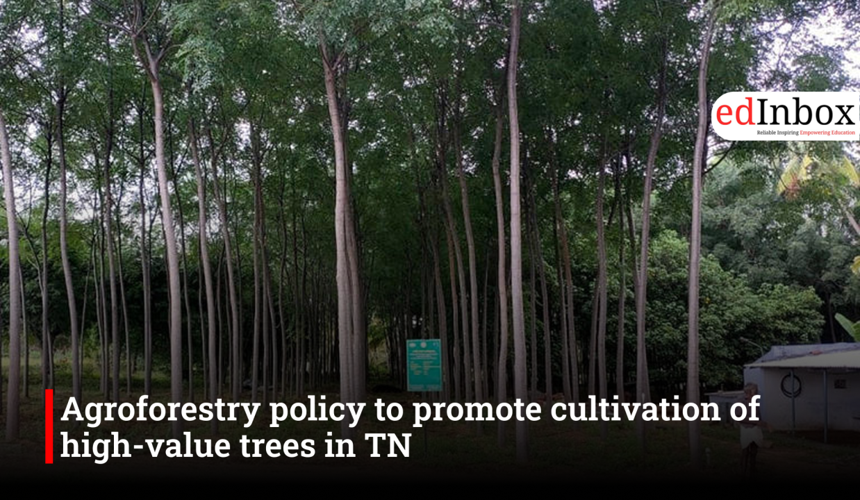 Agroforestry policy to promote cultivation of high-value trees in TN