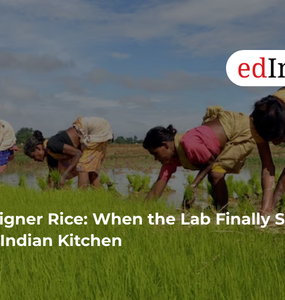 Designer Rice: When the Lab Finally Serves the Indian Kitchen