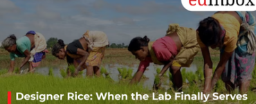 Designer Rice: When the Lab Finally Serves the Indian Kitchen