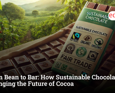 From Bean to Bar: How Sustainable Chocolate Is Changing the Future of Cocoa