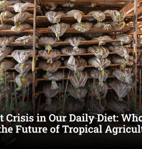 The Quiet Crisis in Our Daily Diet: Who Will Harvest the Future of Tropical Agriculture?