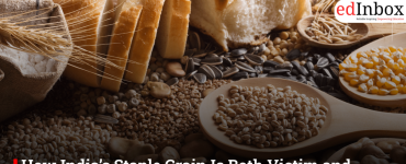 How India’s Staple Grain Is Both Victim and Driver of Climate Change