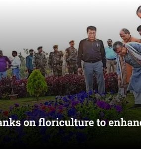 Tripura banks on floriculture to enhance farmers’ income