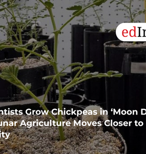Scientists Grow Chickpeas in ‘Moon Dirt’ as Lunar Agriculture Moves Closer to Reality