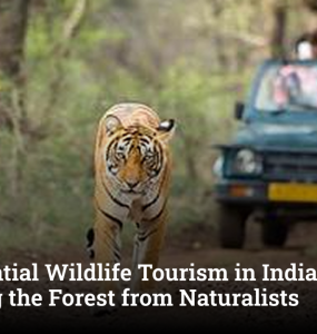 Experiential Wildlife Tourism in India: Learning the Forest from Naturalists