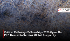 Critical Pathways Fellowships 2026 Open: No PhD Needed to Rethink Global Inequality