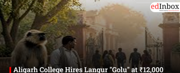 Aligarh College Hires Langur "Golu" at ₹12,000 Salary to Chase Monkeys Away From Campus