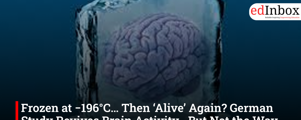 Frozen at −196°C… Then ‘Alive’ Again? German Study Revives Brain Activity—But Not the Way Sci-Fi Claims