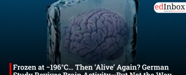 Frozen at −196°C… Then ‘Alive’ Again? German Study Revives Brain Activity—But Not the Way Sci-Fi Claims