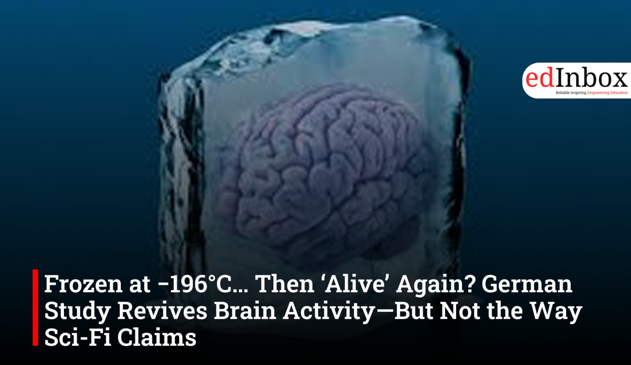 Frozen at −196°C… Then ‘Alive’ Again? German Study Revives Brain Activity—But Not the Way Sci-Fi Claims