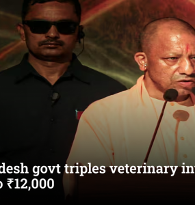 Uttar Pradesh govt triples veterinary internship stipend to ₹12,000