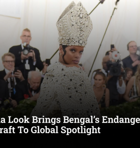 Met Gala Look Brings Bengal’s Endangered Shola Craft To Global Spotlight