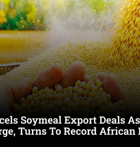 India Cancels Soymeal Export Deals As Domestic Prices Surge, Turns To Record African Imports