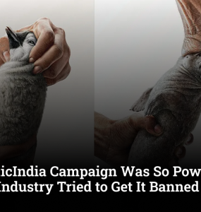 UnPlasticIndia Campaign Was So Powerful, the Plastic Industry Tried to Get It Banned