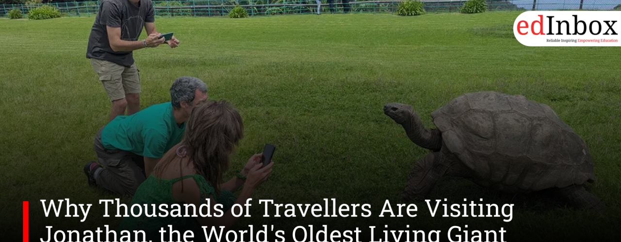 Why Thousands of Travellers Are Visiting Jonathan, the World's Oldest Living Giant Tortoise