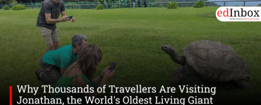 Why Thousands of Travellers Are Visiting Jonathan, the World's Oldest Living Giant Tortoise