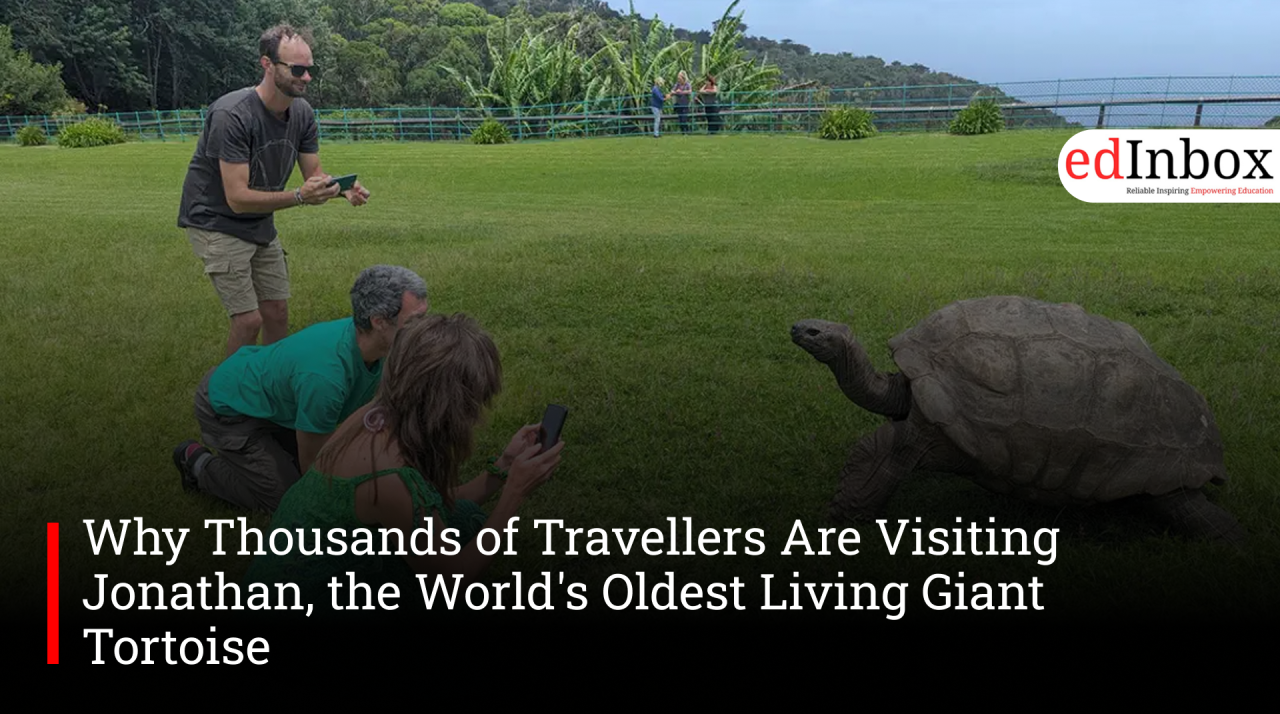 Why Thousands of Travellers Are Visiting Jonathan, the World's Oldest Living Giant Tortoise  