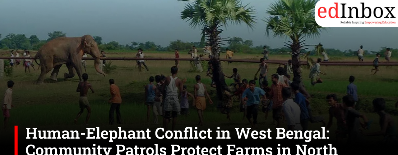 Human-Elephant Conflict in West Bengal: Community Patrols Protect Farms in North Bengal, South Bengal Farmers Still Struggle