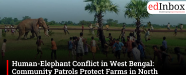 Human-Elephant Conflict in West Bengal: Community Patrols Protect Farms in North Bengal, South Bengal Farmers Still Struggle