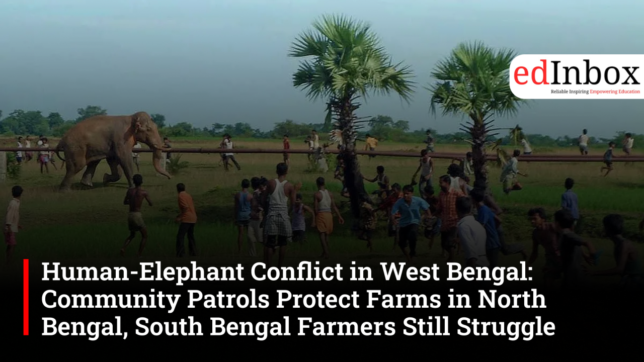 Human-Elephant Conflict in West Bengal: Community Patrols Protect Farms in North Bengal, South Bengal Farmers Still Struggle