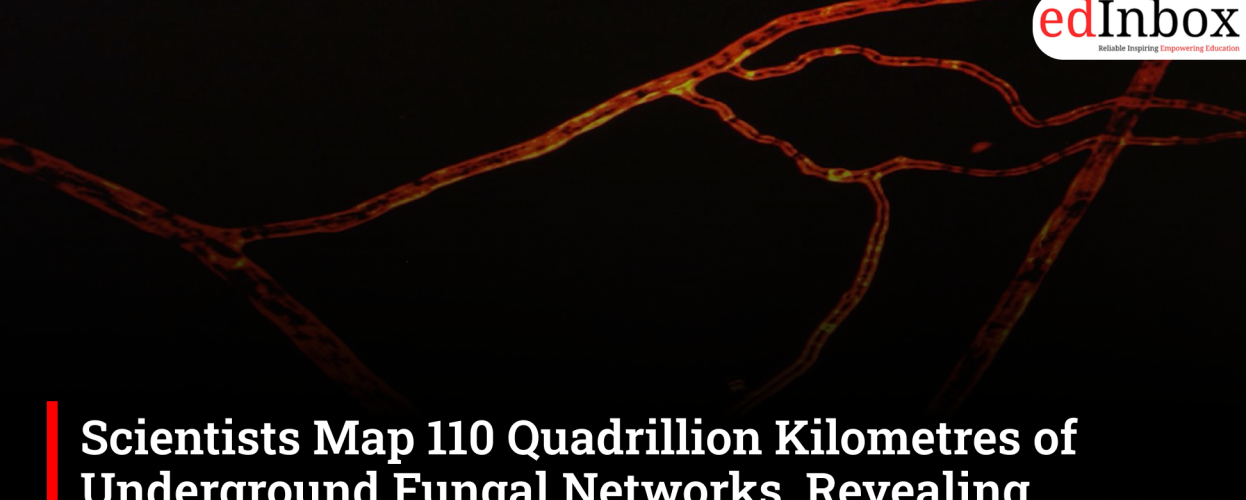 Scientists Map 110 Quadrillion Kilometres of Underground Fungal Networks, Revealing Hidden Climate Ally