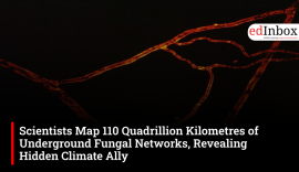 Scientists Map 110 Quadrillion Kilometres of Underground Fungal Networks, Revealing Hidden Climate Ally