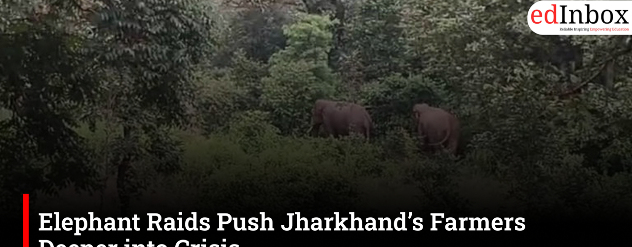 Elephant Raids Push Jharkhand’s Farmers Deeper into Crisis
