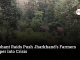 Elephant Raids Push Jharkhand’s Farmers Deeper into Crisis
