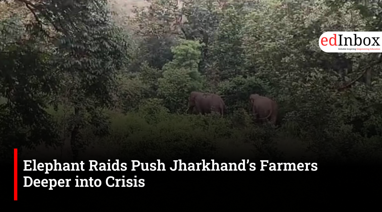 Elephant Raids Push Jharkhand’s Farmers Deeper into Crisis