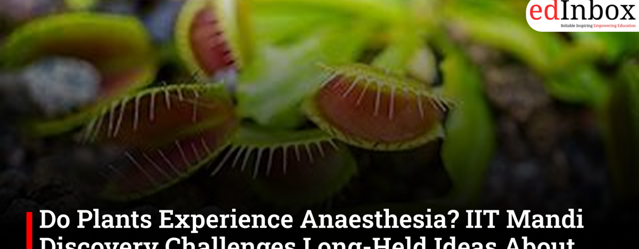 Do Plants Experience Anaesthesia? IIT Mandi Discovery Challenges Long-Held Ideas About Consciousness