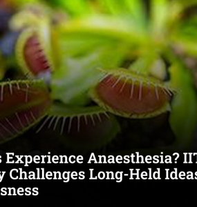 Do Plants Experience Anaesthesia? IIT Mandi Discovery Challenges Long-Held Ideas About Consciousness