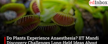 Do Plants Experience Anaesthesia? IIT Mandi Discovery Challenges Long-Held Ideas About Consciousness