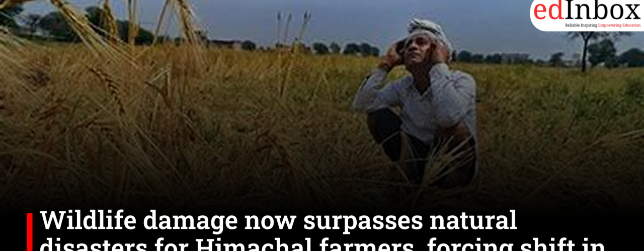 Wildlife damage now surpasses natural disasters for Himachal farmers, forcing a shift in cropping patterns