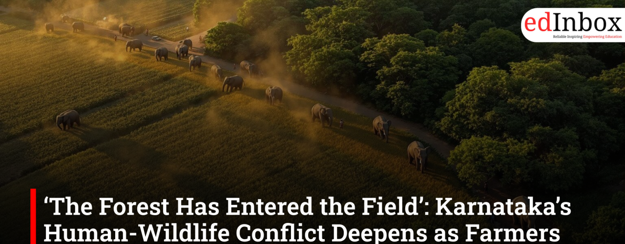 ‘The Forest Has Entered the Field’: Karnataka’s Human-Wildlife Conflict Deepens as Farmers Pay the Price