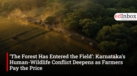 ‘The Forest Has Entered the Field’: Karnataka’s Human-Wildlife Conflict Deepens as Farmers Pay the Price