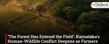 ‘The Forest Has Entered the Field’: Karnataka’s Human-Wildlife Conflict Deepens as Farmers Pay the Price